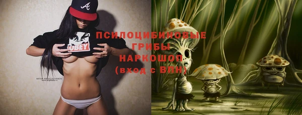 ГАЛЛЮЦИНОГЕННЫЕ ГРИБЫ Бугульма
