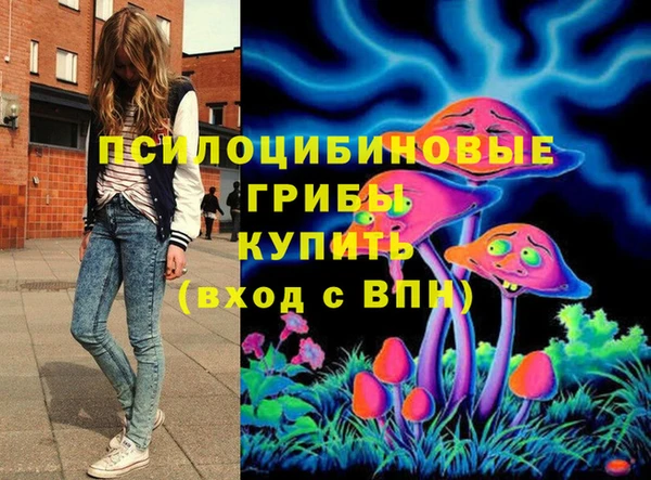 ГАЛЛЮЦИНОГЕННЫЕ ГРИБЫ Бугульма
